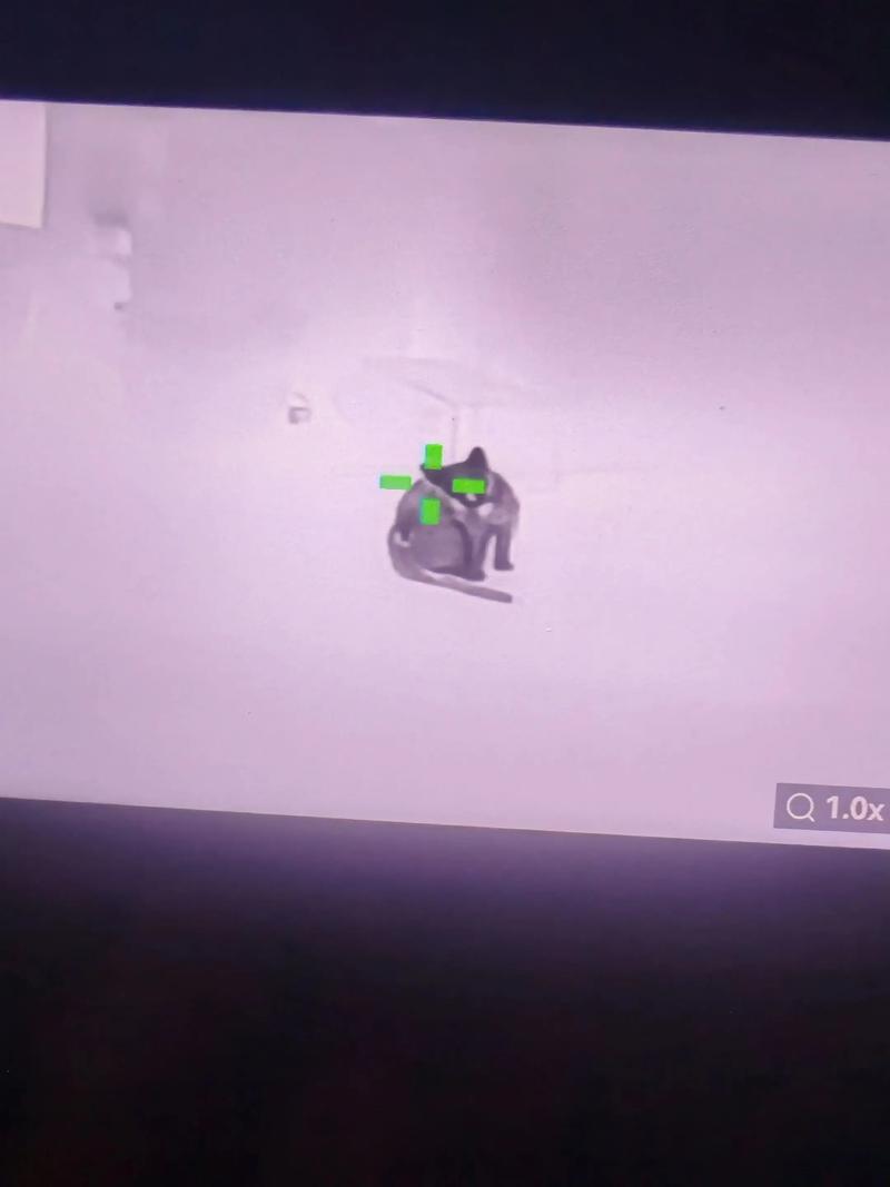 关于和平精英模仿外挂狙击的信息